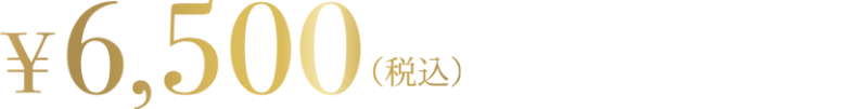 6500円（税込）