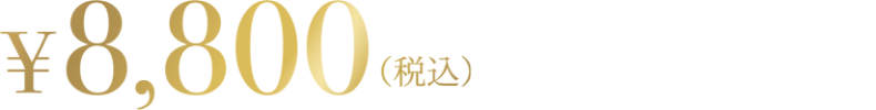 11000円（税込）