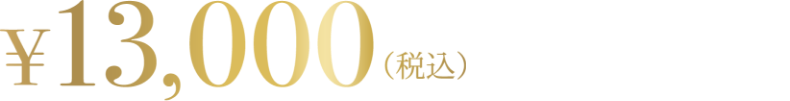 13000円（税込）