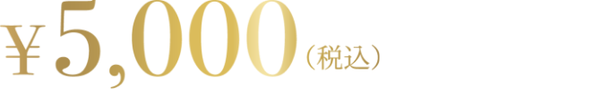 5000円（税込）