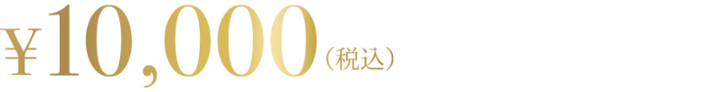 10000円（税込）