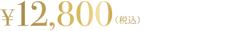 12800円（税込）
