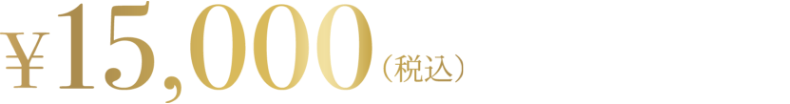 15,000円（税込）