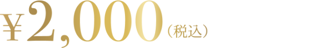 2000円（税込）